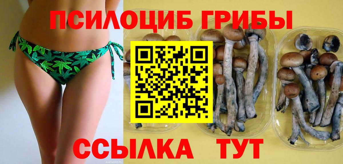 Владимир  Галлюциногенные грибы мухоморы  Галлюциногенные грибы GOLDEN TEACHER  Вход с VPN 