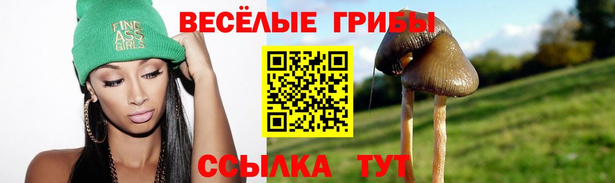 Галлюциногенные грибы Psilocybe Владимир